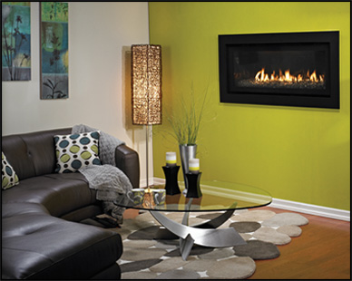 Contemporary Fireplace Style 3